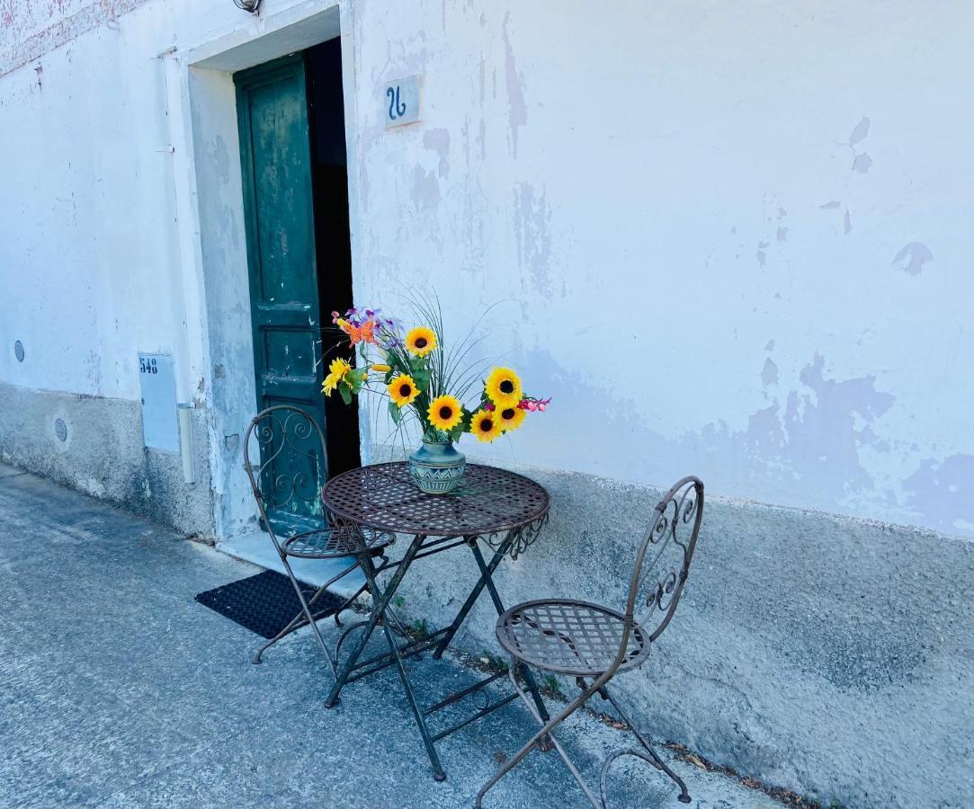 Casa Sbollazza Con Parcheggio E Vicina Al Parco Citra:010059-Lt-1207 Daire Sestri Levante Dış mekan fotoğraf
